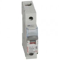 Logo Inter-sectionneur de tte dx-is - vis/vis - 1p - 250 v~ - 100 a - 1 m 406423