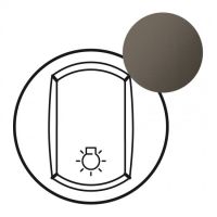 Logo Enjoliveur cliane - inter/poussoir cde gnrale pour htel - graphite 067962