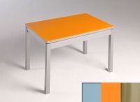 Logo Table mensa verre ext. melamin 100x50 - plateau gris - pieds inox - ceinture en bois laque orange 2858_gris_inox_bl-orange