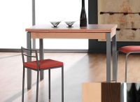 Logo Table mensa ext 100x60 - plateau hetre - pieds chrome - ceinture en bois laque wengue 2034_hetre_chrome_bl-wengue
