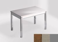 Logo Table mensa ext 110x70 - plateau mississipi - pieds argent - ceinture en bois laque inox 2321_mississipi_argent_bl-inox