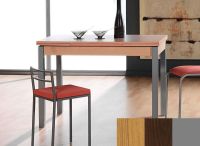 Logo Table mensa ext 100x60 - plateau chene - pieds argent - ceinture en bois laque wengue 2034_chene_argent_bl-wengue