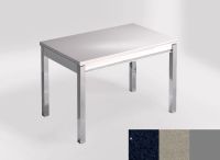 Logo Table mensa 100x60 extension melamin� - plateau stellar marina - pieds argent - ceinture en bois laq 2331_stellar-marina_argent_