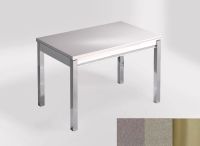 Logo Table mensa ext 100x60 - plateau gris expo - pieds inox - ceinture en bois laque inox 2320_gris-expo_inox_bl-inox
