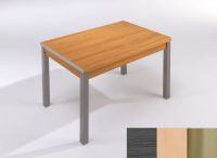 Logo Table mensa ext 110x70 - plateau cendre - pieds inox - ceinture en polymere hetre 2038_cendre_inox_pl-hetre