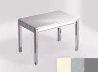 Logo Table mensa ext 110x70 - plateau haiku - pieds argent - ceinture en bois laque argent 2321_haiku_argent_bl-argent