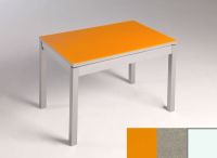 Logo Table mensa  verre ext. melamin� 110x70 - plateau orange - pieds blanc - ceinture en bois laque inox 2859_orange_blanc_bl-inox