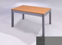 Logo Table licorne 110x70 - h90 2932_cendre_argent_ml-argent