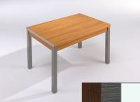 Logo Table mensa ext 100x60 - plateau wengue - pieds blanc - ceinture en polymere cendre 2033_wengue_blanc_pl-cendre