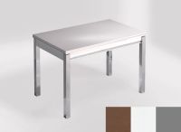 Logo Table mensa 100x60 extension melamin� - plateau gedatsu - pieds argent - ceinture en bois laque blan 2331_gedatsu_argent_bl-blan