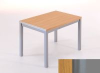 Logo Table saturne ext 80x80 - plateau chene - pieds argent - ceinture en metalique argent 2785_chene_argent_mt-argent