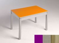 Logo Table mensa verre ext. melamin� 100x60 - plateau magenta - pieds inox - ceinture en bois laque inox 2869_magenta_inox_bl-inox