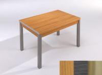 Logo Table mensa ext 100x60 - plateau chene - pieds inox - ceinture en polymere cendre 2033_chene_inox_pl-cendre