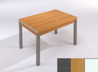 Logo Table mensa ext 100x60 - plateau cendre - pieds blanc - ceinture en polymere chene 2033_cendre_blanc_pl-chene