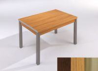 Logo Table mensa ext 100x60 - plateau wengue - pieds inox - ceinture en polymere chene 2033_wengue_inox_pl-chene