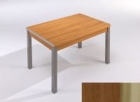 Logo Table mensa ext 110x70 - plateau noyer - pieds inox - ceinture en polymere noyer 2038_noyer_inox_pl-noyer