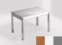 Logo Table mensa ext 100x60 - plateau sonora gold - pieds argent - ceinture en bois laque blanc 2320_sonora-gold_argent_bl-blanc