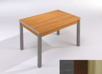 Logo Table mensa ext 110x70 - plateau cendre - pieds inox - ceinture en polymere wengue 2038_cendre_inox_pl-wengue