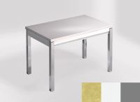Logo Table mensa 100x60 extension melamin� - plateau rhine - pieds argent - ceinture en bois laque blanc 2331_rhine_argent_bl-blanc