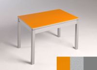 Logo Table mensa verre ext. melamin� 100x60 - plateau orange - pieds argent - ceinture en bois laque arge 2869_orange_argent_bl-argen