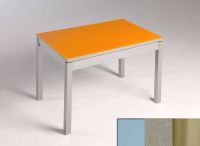 Logo Table mensa  verre ext. melamin� 110x70 - plateau gris - pieds inox - ceinture en bois laque inox 2859_gris_inox_bl-inox