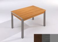 Logo Table mensa ext 135x80 - plateau wengue - pieds argent - ceinture en polymere cendre 2044_wengue_argent_pl-cendre