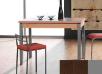 Logo Table mensa ext 100x60 - plateau wengue - pieds argent - ceinture en bois laque wengue 2034_wengue_argent_bl-wengue