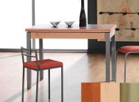 Logo Table mensa ext 100x60 - plateau cerisier - pieds inox - ceinture en bois laque hetre 2034_cerisier_inox_bl-hetre