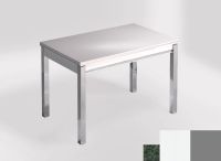 Logo Table mensa ext 100x60 - plateau green river - pieds argent - ceinture en bois laque blanc 2320_green-river_argent_bl-blanc