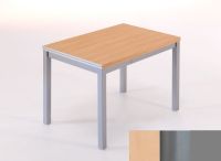Logo Table saturne ext 100x60 - plateau hetre - pieds argent - ceinture en metalique argent 2795_hetre_argent_mt-argent