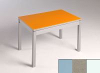 Logo Table mensa verre ext. melamin� 100x50 - plateau gris - pieds blanc - ceinture en bois laque inox 2858_gris_blanc_bl-inox