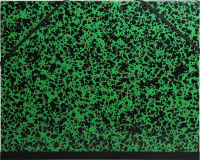 Logo Fin de srie: exacompta carton  dessin, 520 x 720 mm, vert 15539