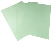 Logo Pavo plats de couverture, a4, carton, 160 g/m2, vert pastel 7300144
