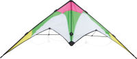 Logo Cerf-volant « printemps » 10272