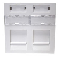 Logo Module 45x45 2 ports blanc ngc1553